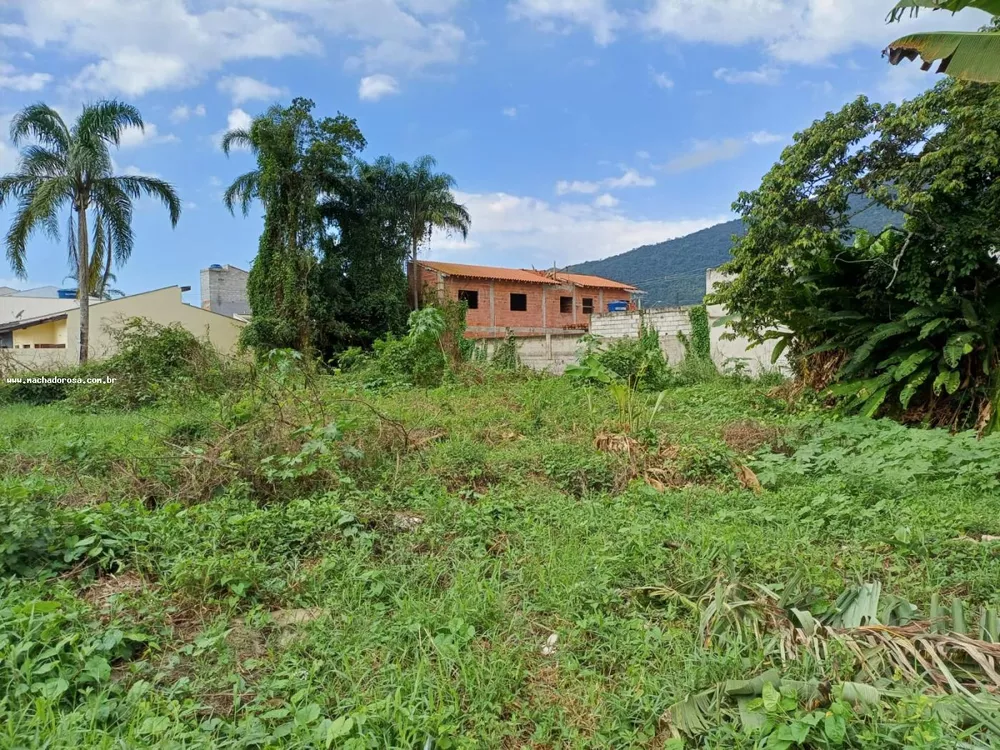 Terreno à venda, 300m² - Foto 3