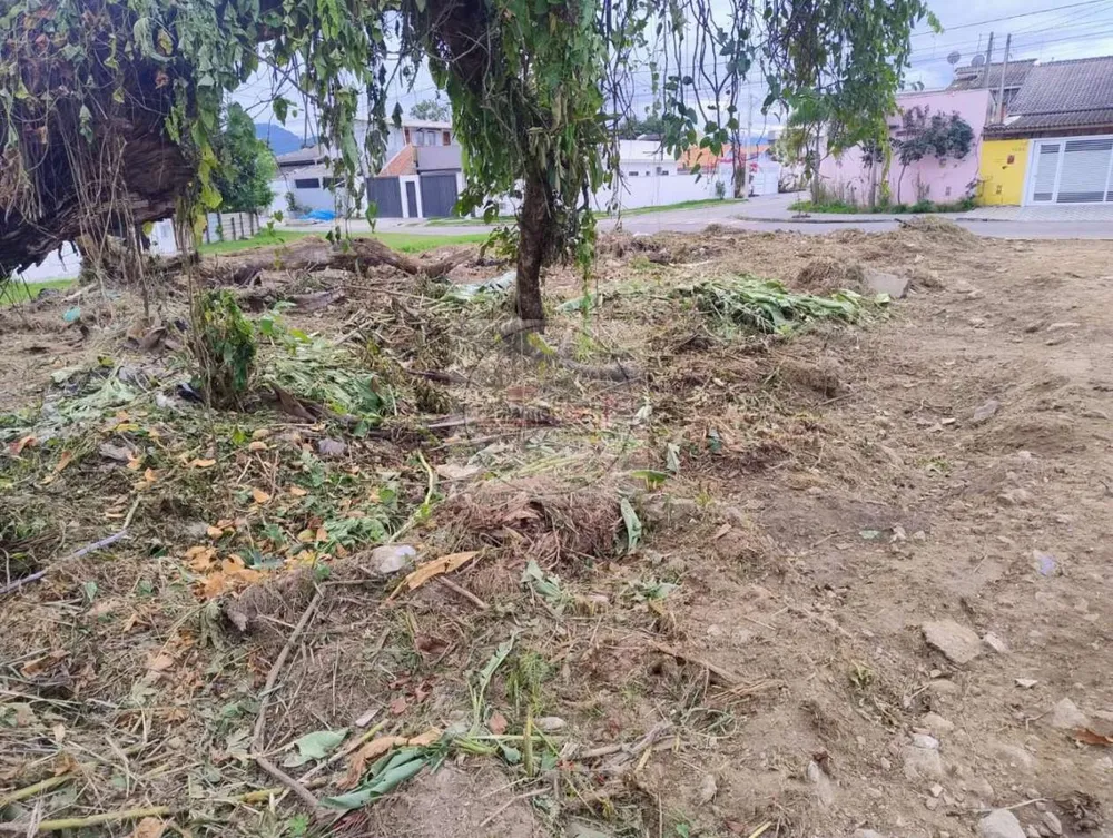 Terreno, 333 m² - Foto 5