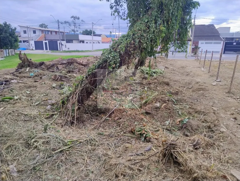 Terreno, 333 m² - Foto 4