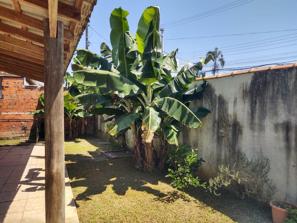 Casa à venda com 3 quartos, 325m² - Foto 14