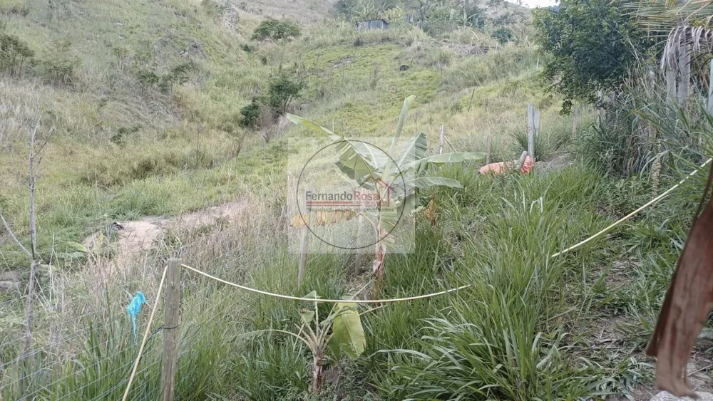 Terreno, 2500 m² - Foto 12