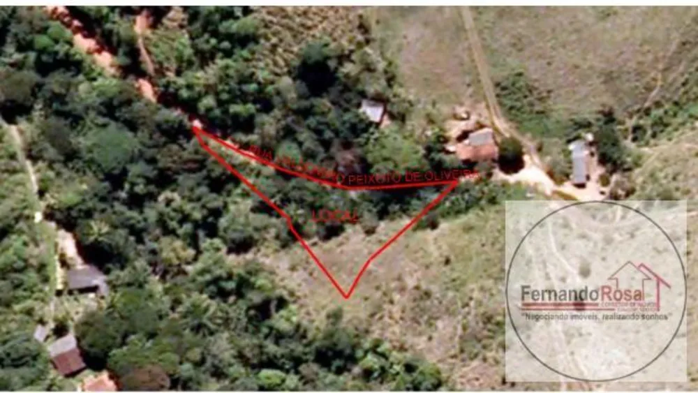Terreno, 9 hectares - Foto 20