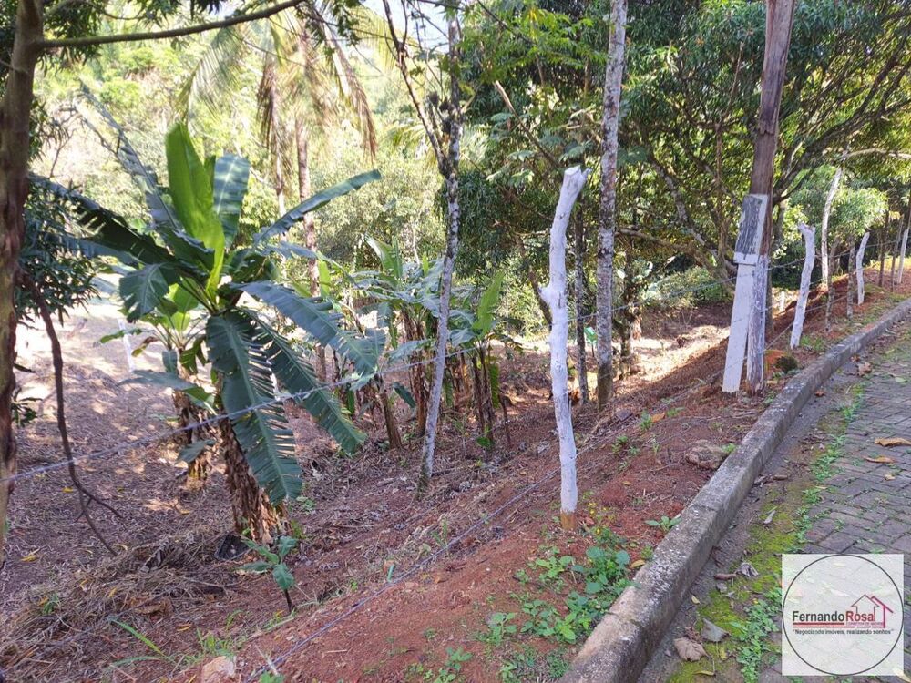 Terreno, 9 hectares - Foto 3