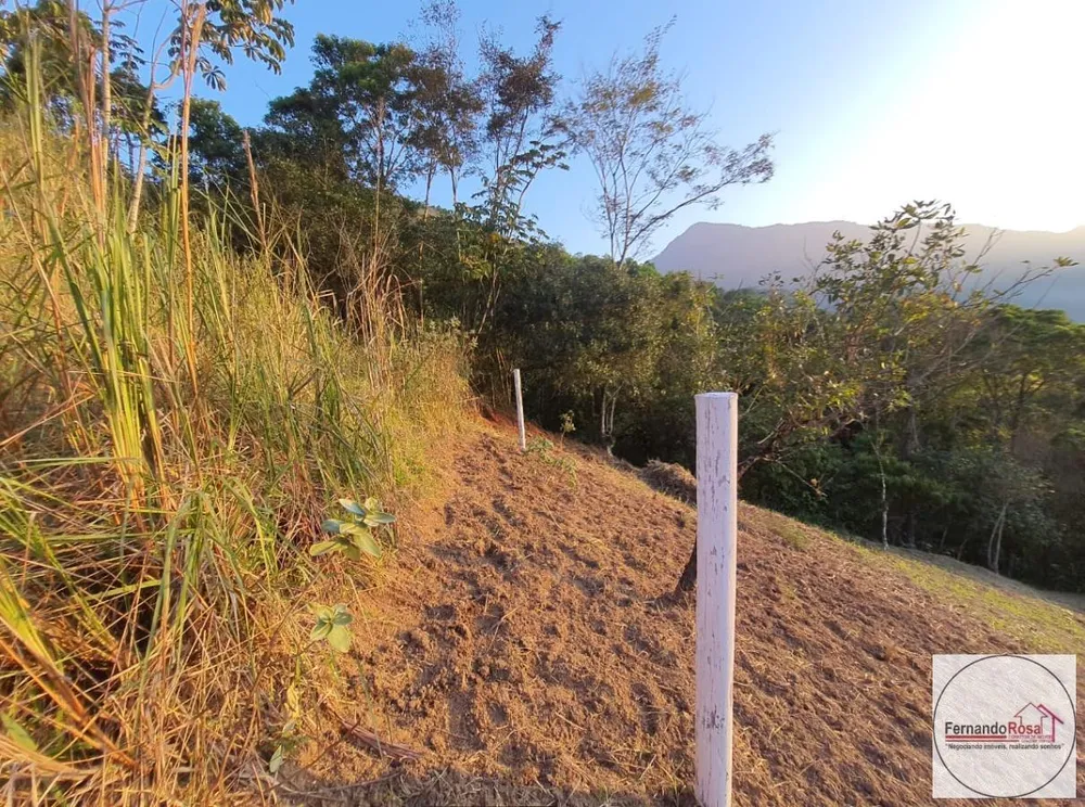 Terreno, 9 hectares - Foto 17