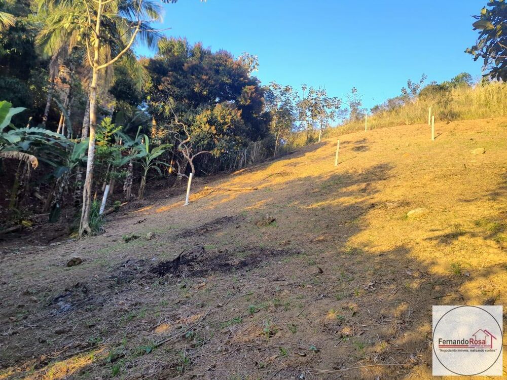 Terreno, 9 hectares - Foto 6