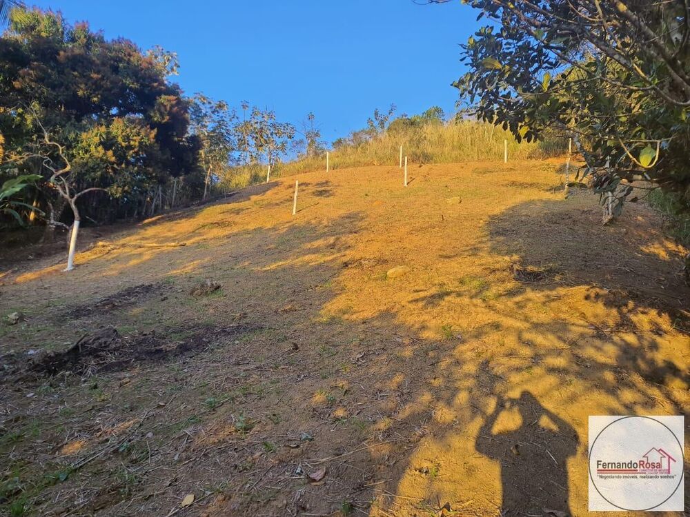 Terreno, 9 hectares - Foto 9