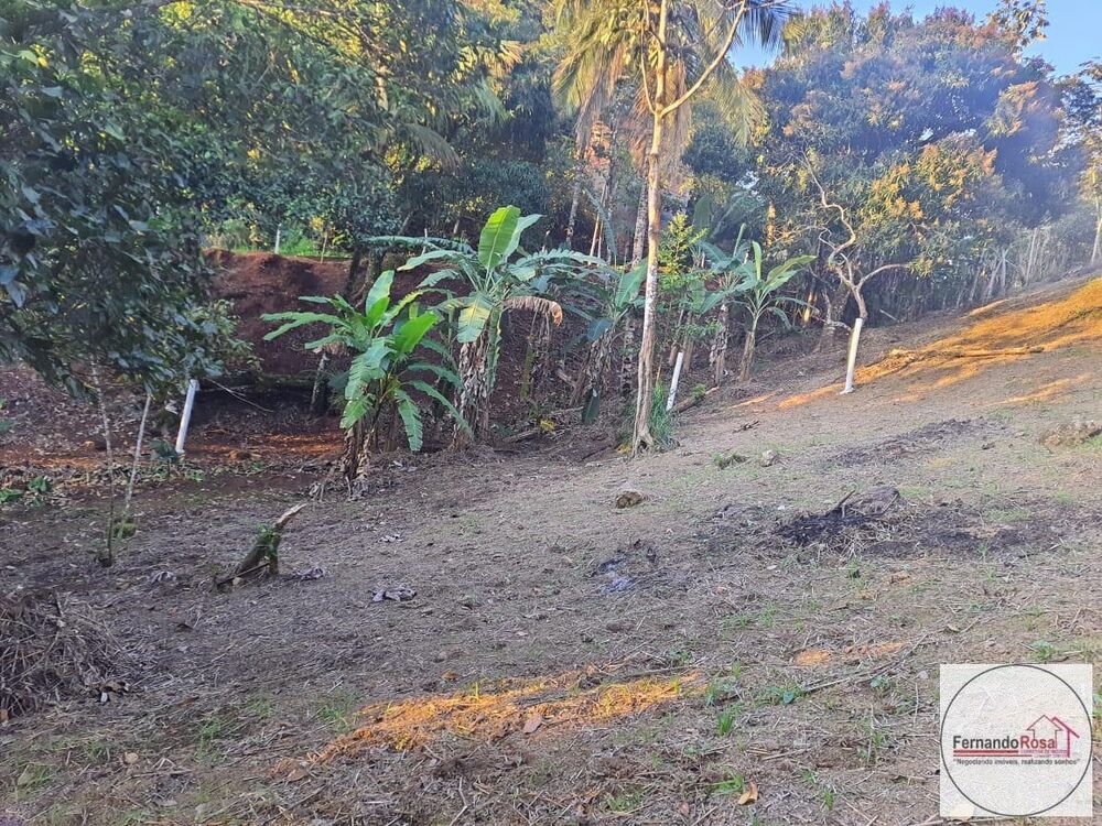 Terreno, 9 hectares - Foto 8