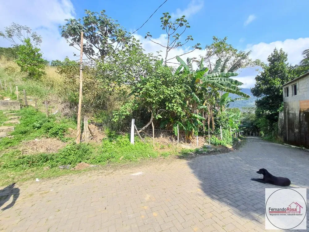 Terreno, 9 hectares - Foto 7