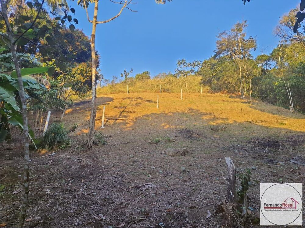 Terreno, 9 hectares - Foto 4