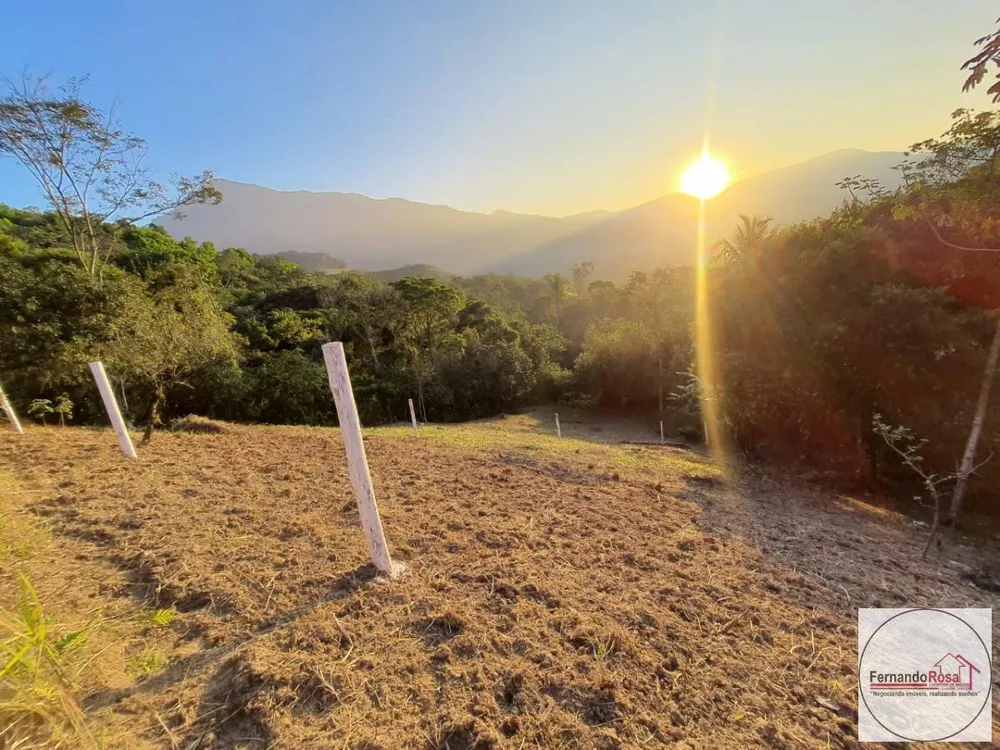 Terreno, 9 hectares - Foto 4