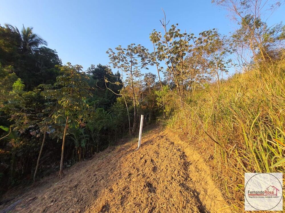 Terreno, 9 hectares - Foto 7