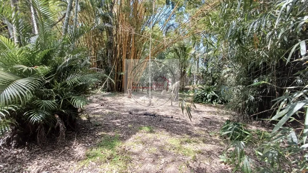 Chácara, 3 quartos, 3300 m² - Foto 11