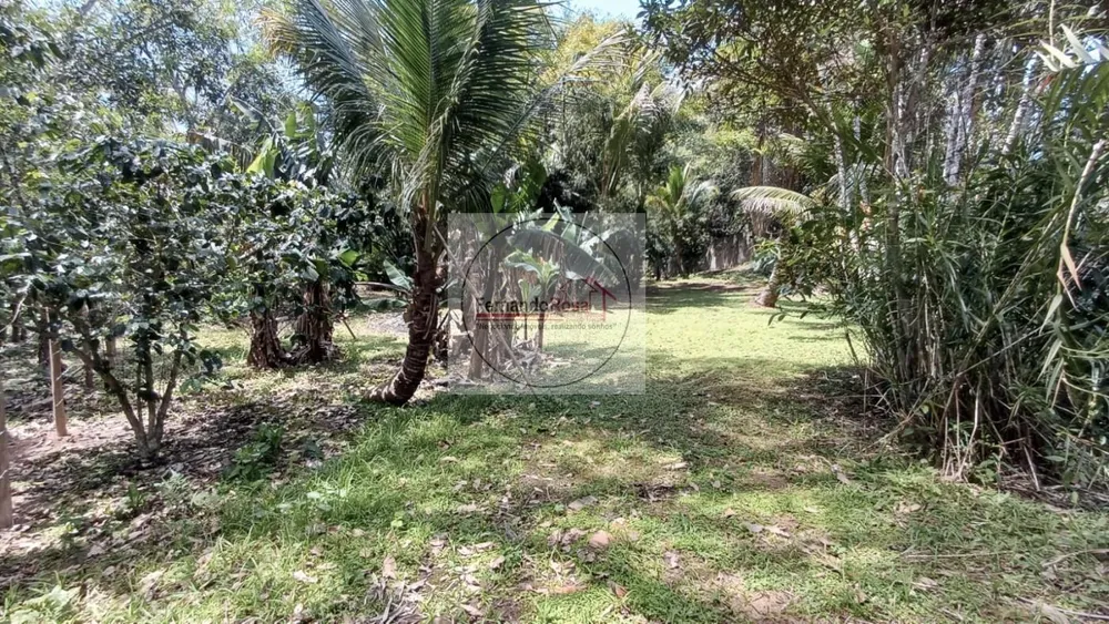 Chácara, 3 quartos, 3300 m² - Foto 10