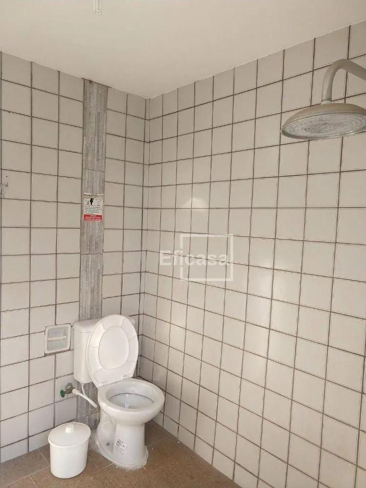 Chácara, 3 quartos, 6000 m² - Foto 8