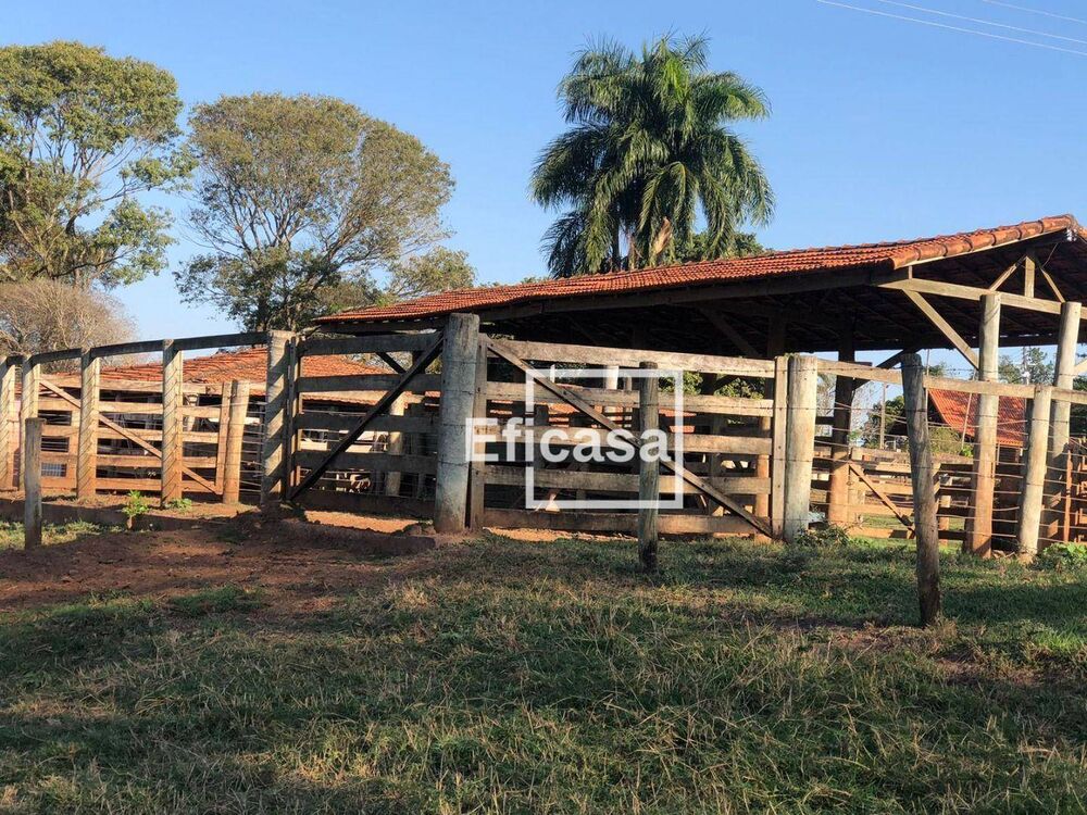 Sítio, 3 quartos, 4 hectares - Foto 7