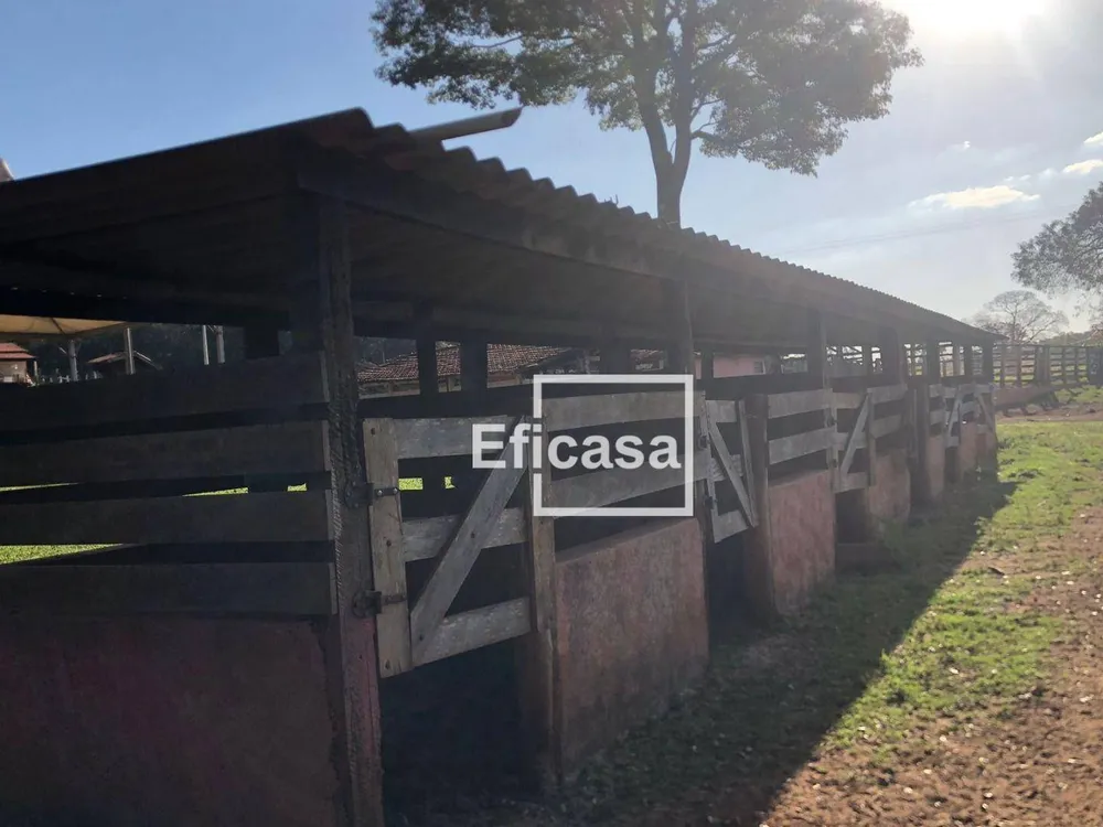 Sítio, 3 quartos, 4 hectares - Foto 12