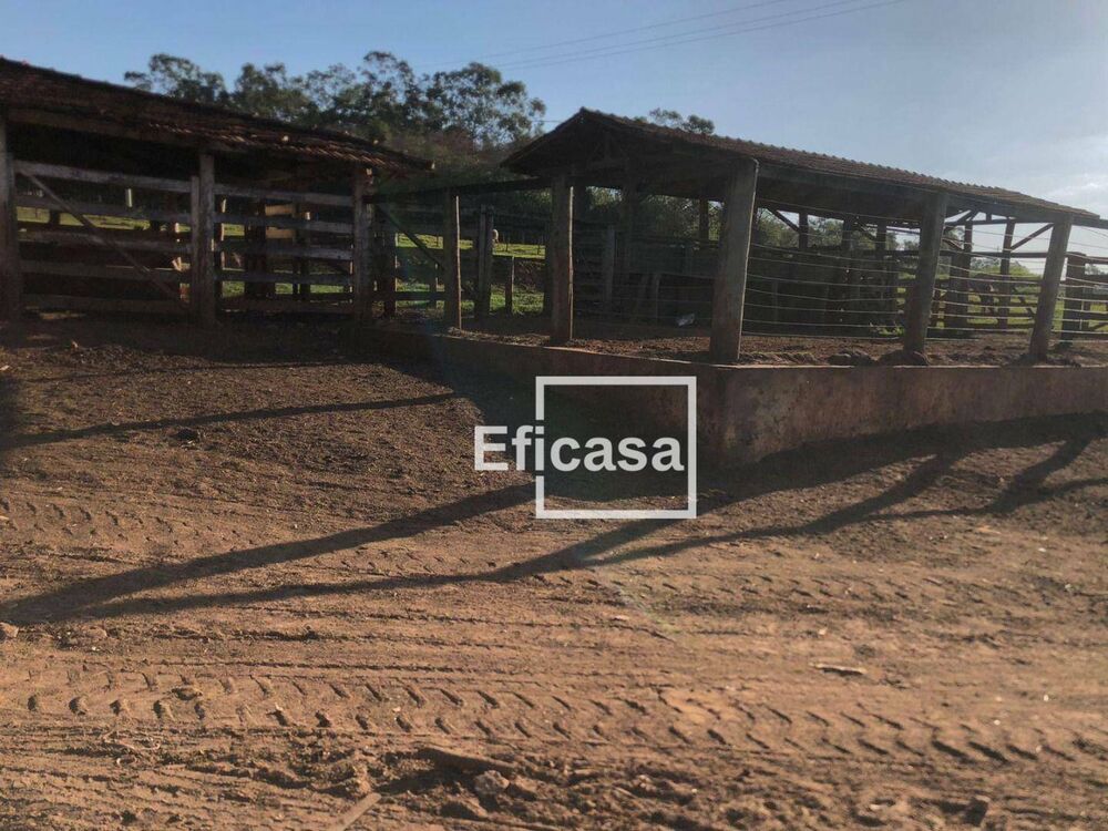 Sítio, 3 quartos, 4 hectares - Foto 6