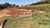 Sítio, 3 quartos, 4 hectares - Foto 1
