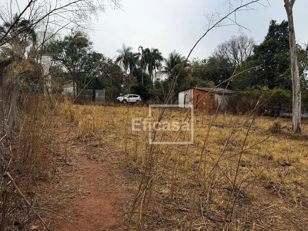 Terreno, 5563 m² - Foto 4