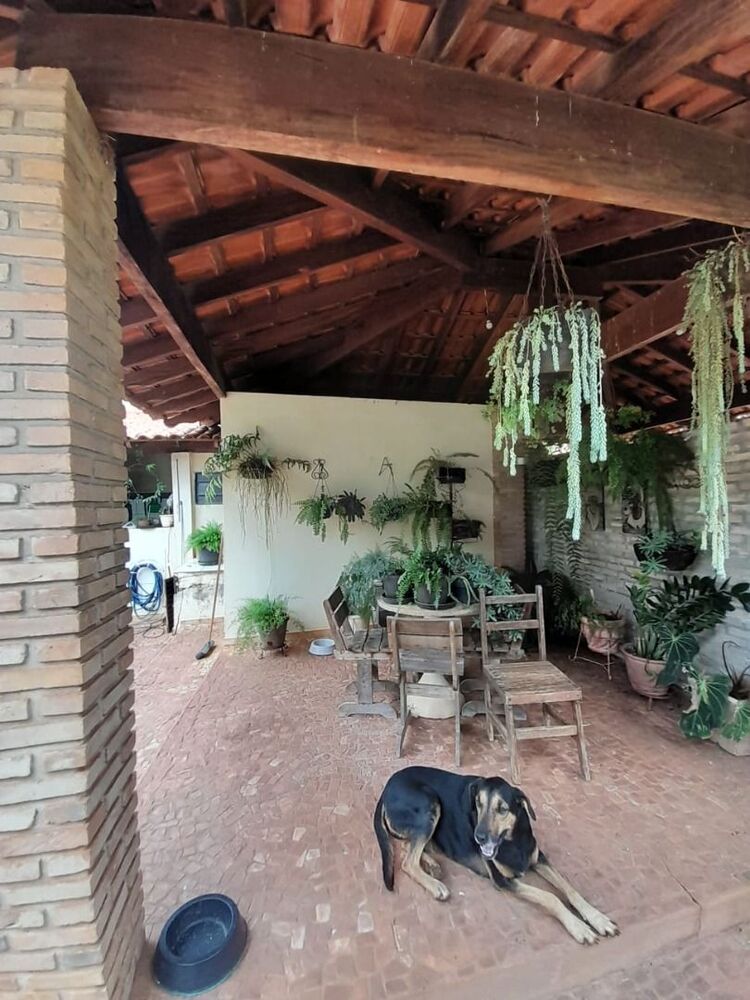Chácara, 3 quartos, 6000 m² - Foto 4