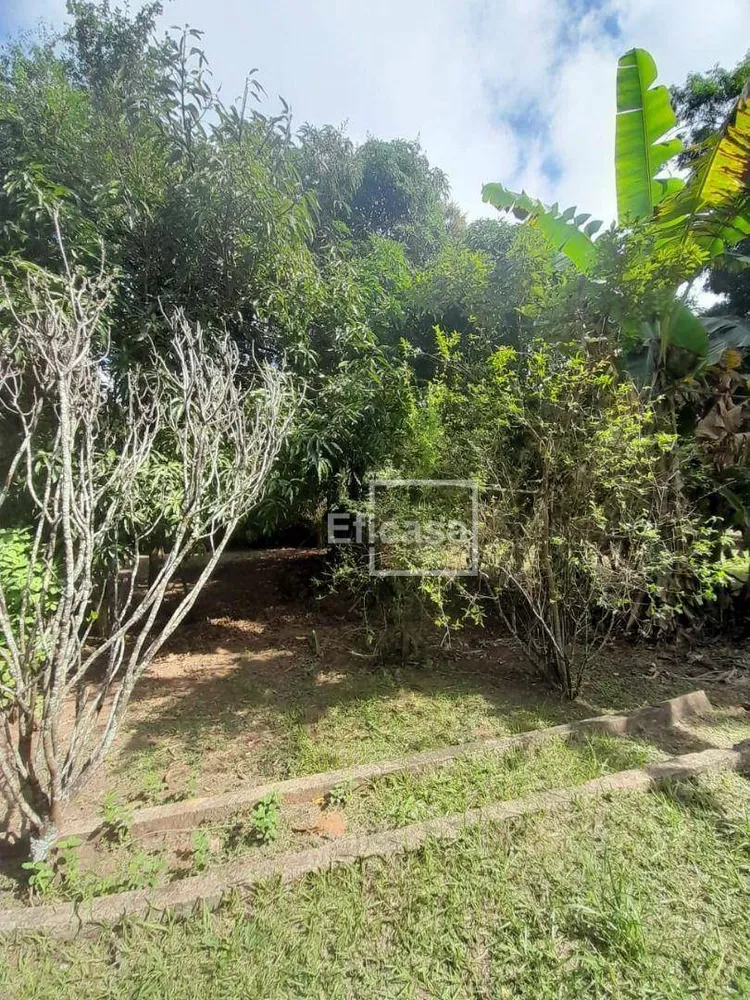 Chácara, 1 quarto, 2573 m² - Foto 4
