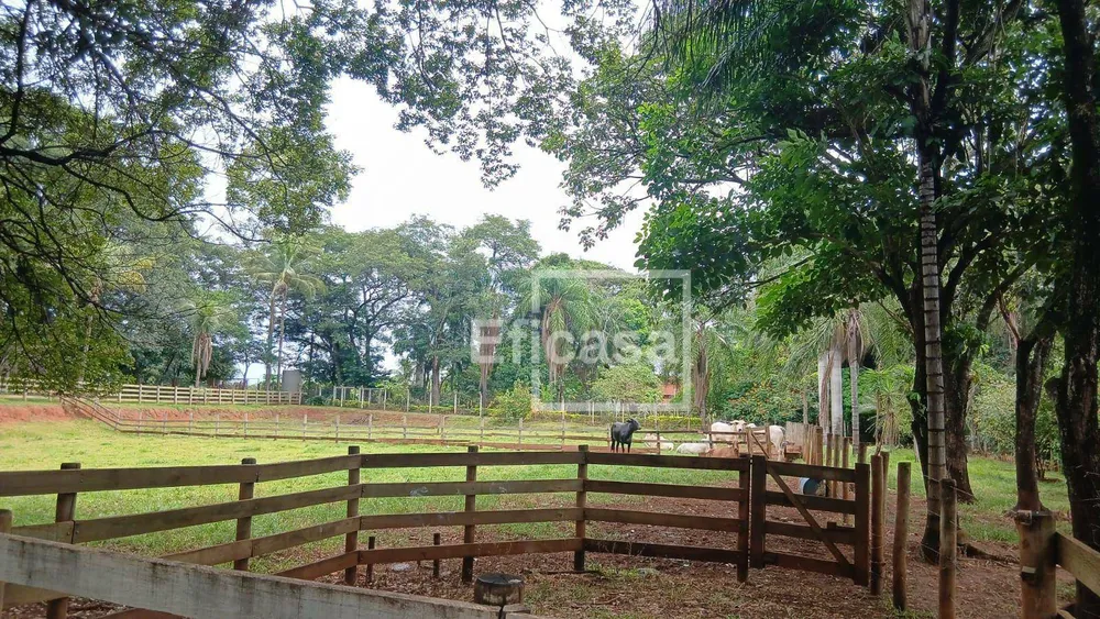 Sítio, 3 quartos, 7 hectares - Foto 3