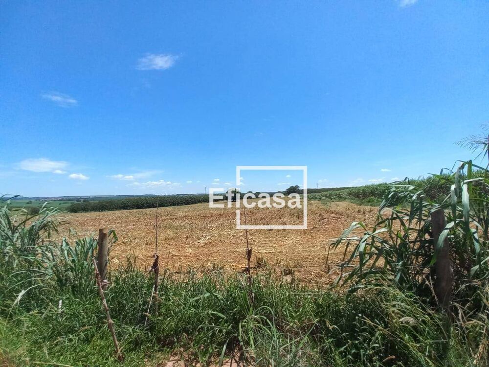 Terreno, 11 hectares - Foto 10