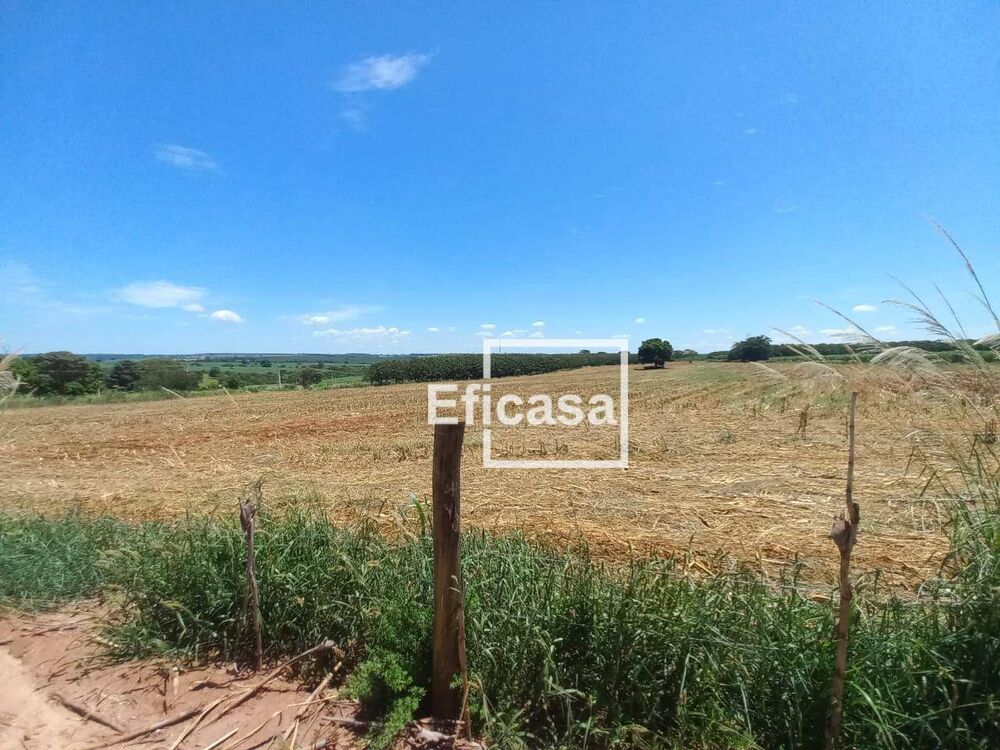 Terreno, 11 hectares - Foto 4