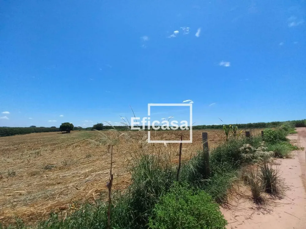 Terreno, 11 hectares - Foto 18