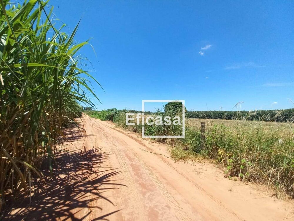 Terreno, 11 hectares - Foto 11