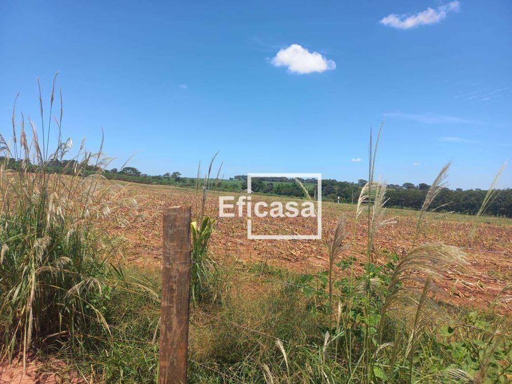 Terreno, 11 hectares - Foto 1