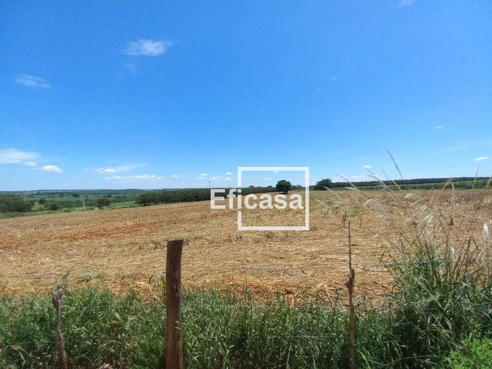 Terreno, 11 hectares - Foto 9