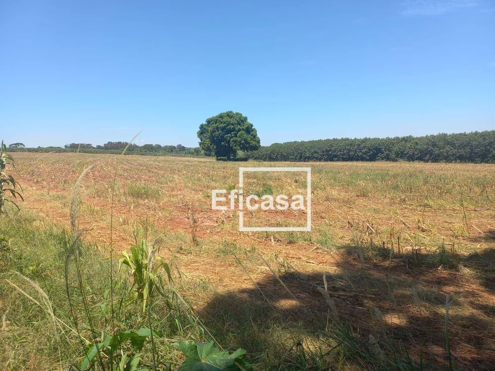 Terreno, 11 hectares - Foto 20