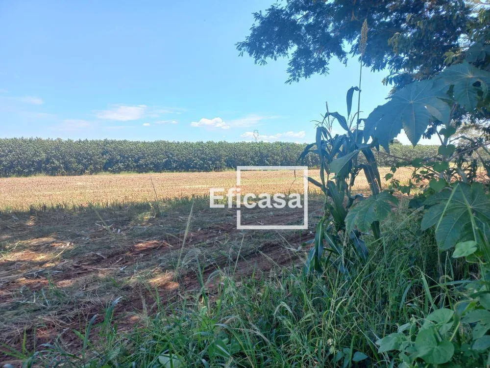 Terreno, 11 hectares - Foto 15