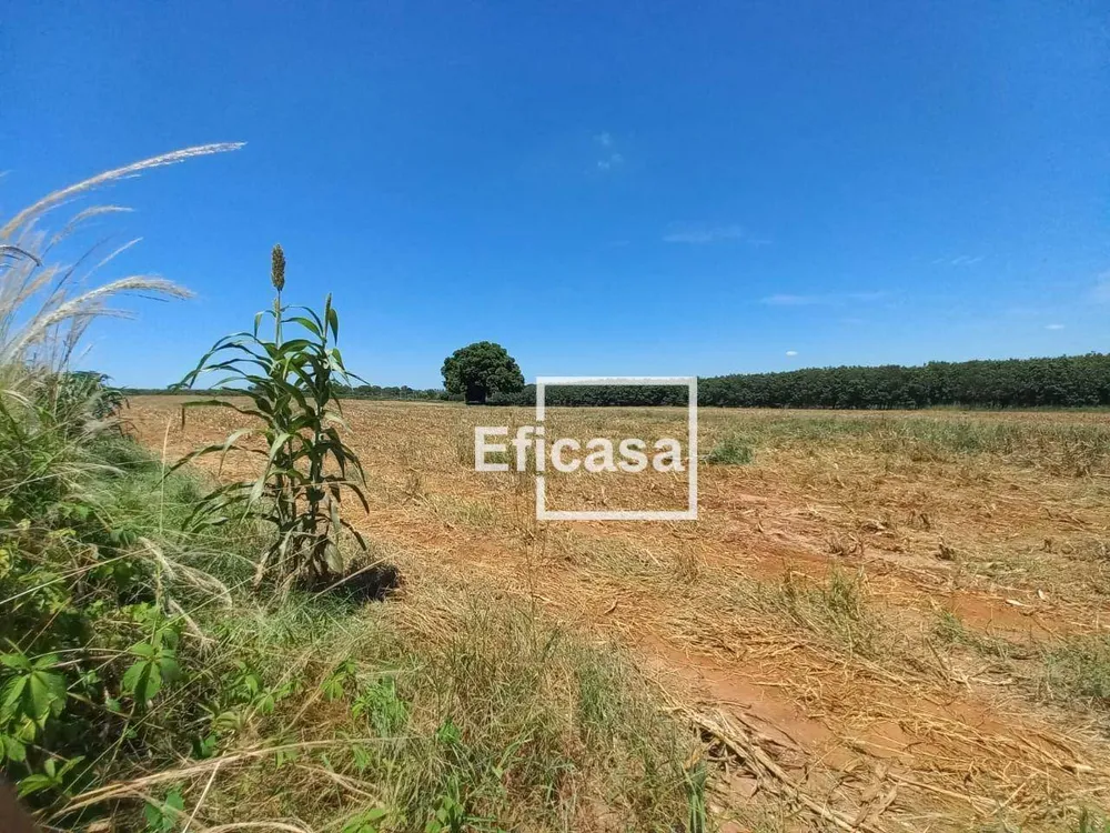 Terreno, 11 hectares - Foto 13