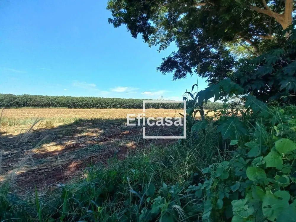 Terreno, 11 hectares - Foto 17