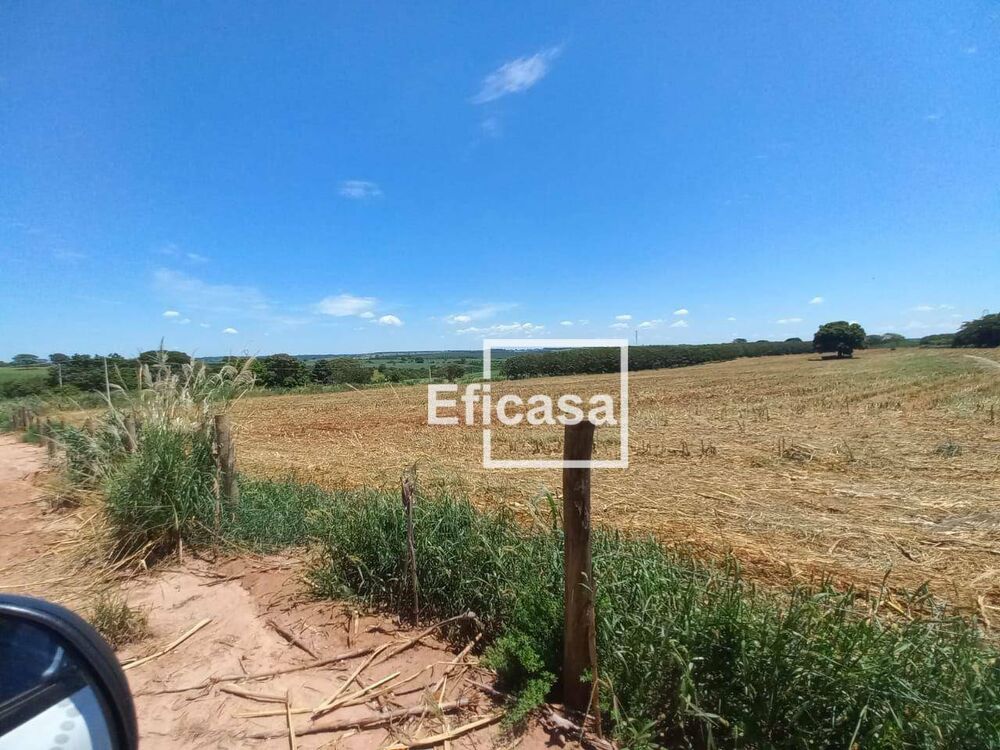 Terreno, 11 hectares - Foto 7