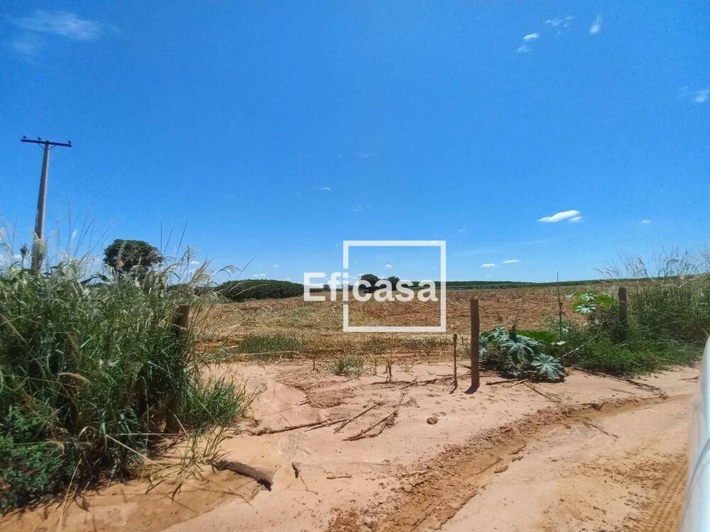 Terreno, 11 hectares - Foto 5