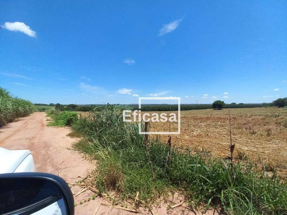 Terreno, 11 hectares - Foto 6