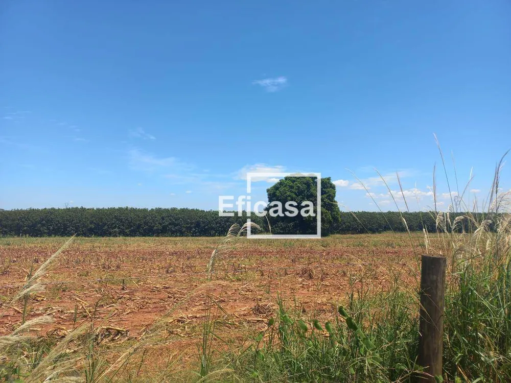 Terreno, 11 hectares - Foto 14