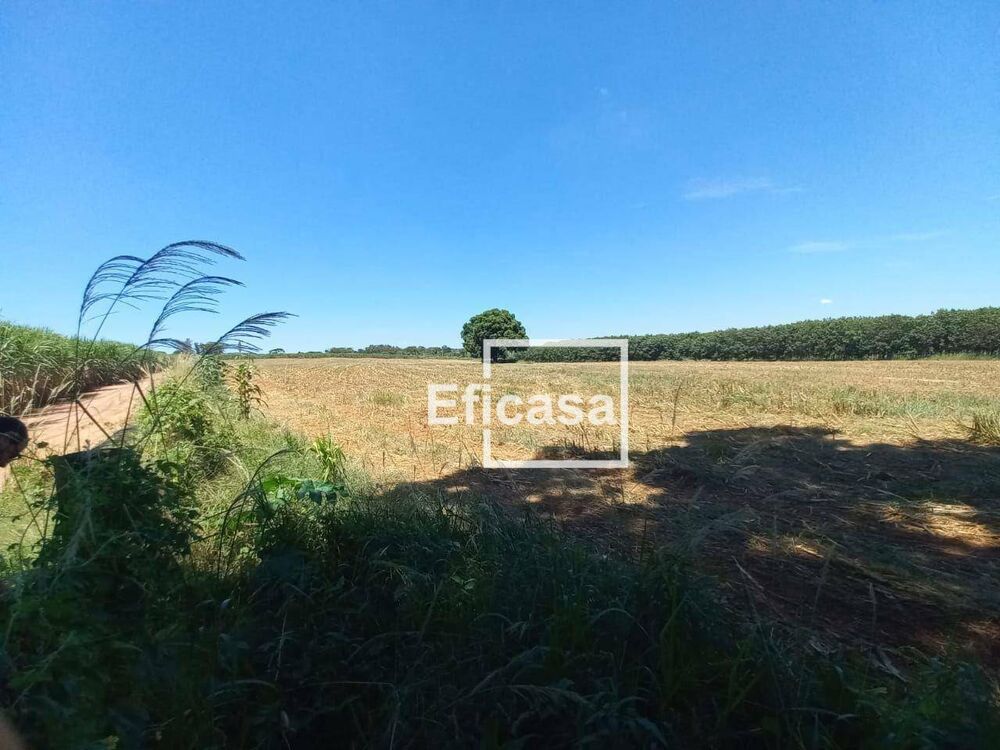 Terreno, 11 hectares - Foto 12