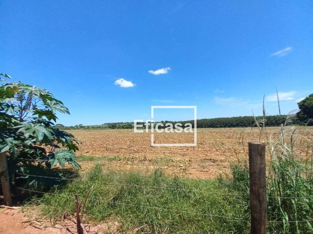 Terreno, 11 hectares - Foto 8