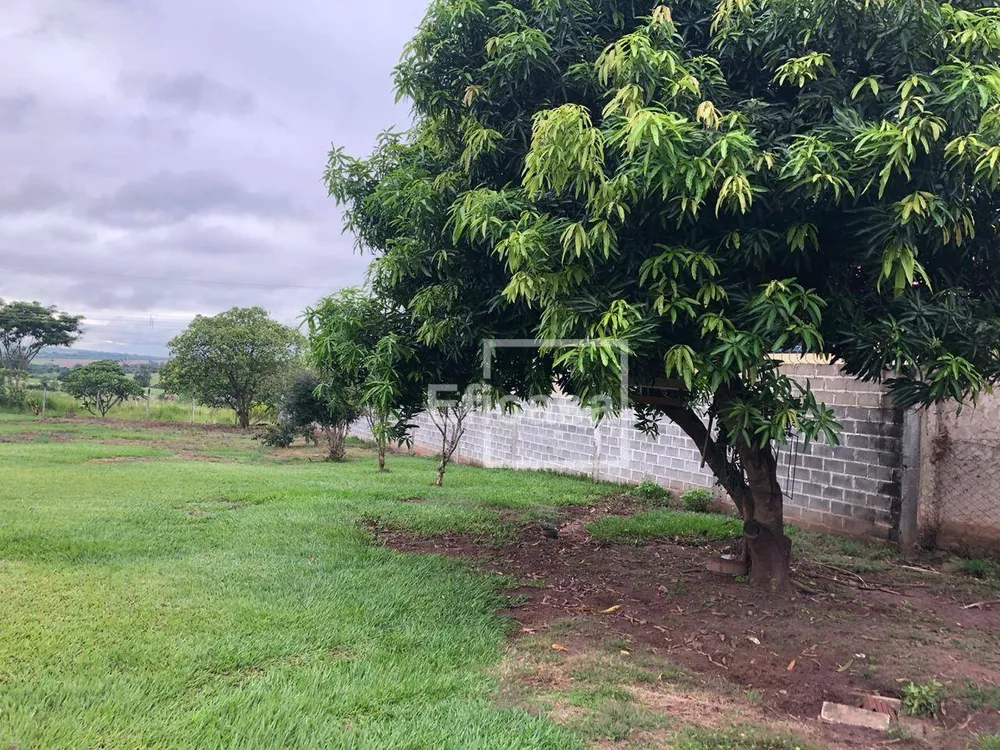 Chácara, 1 quarto, 5000 m² - Foto 2