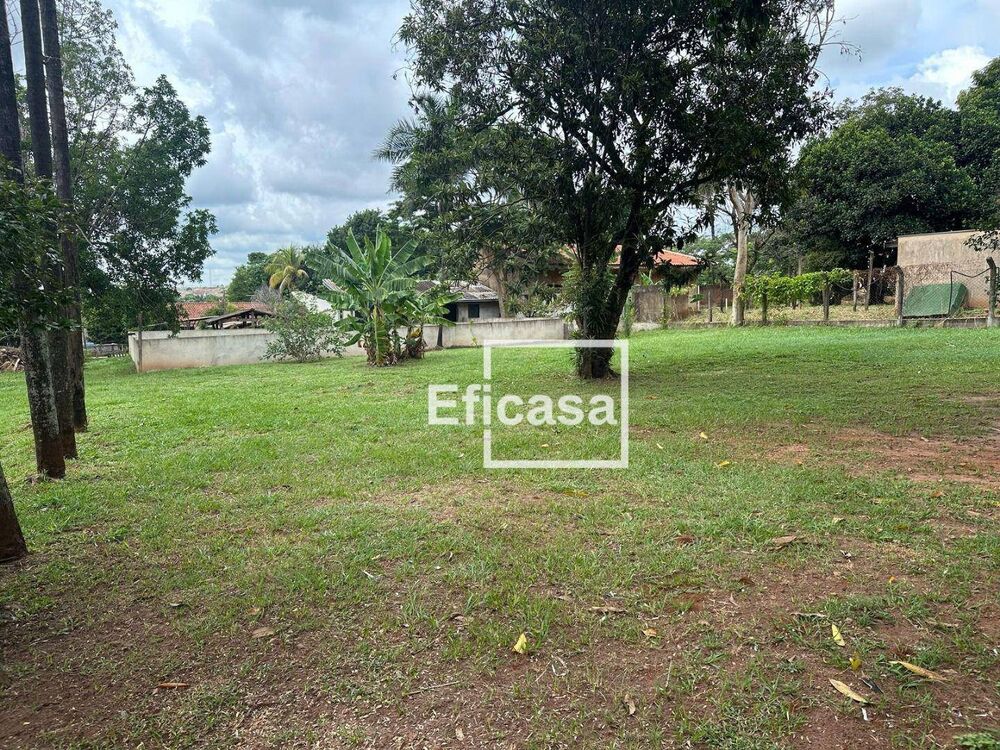 Chácara, 3 quartos, 4393 m² - Foto 4