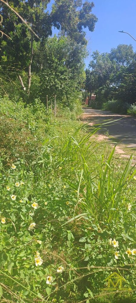 Terreno à venda, 360m² - Foto 4