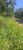 Terreno, 360 m² - Foto 4