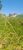 Terreno, 360 m² - Foto 2