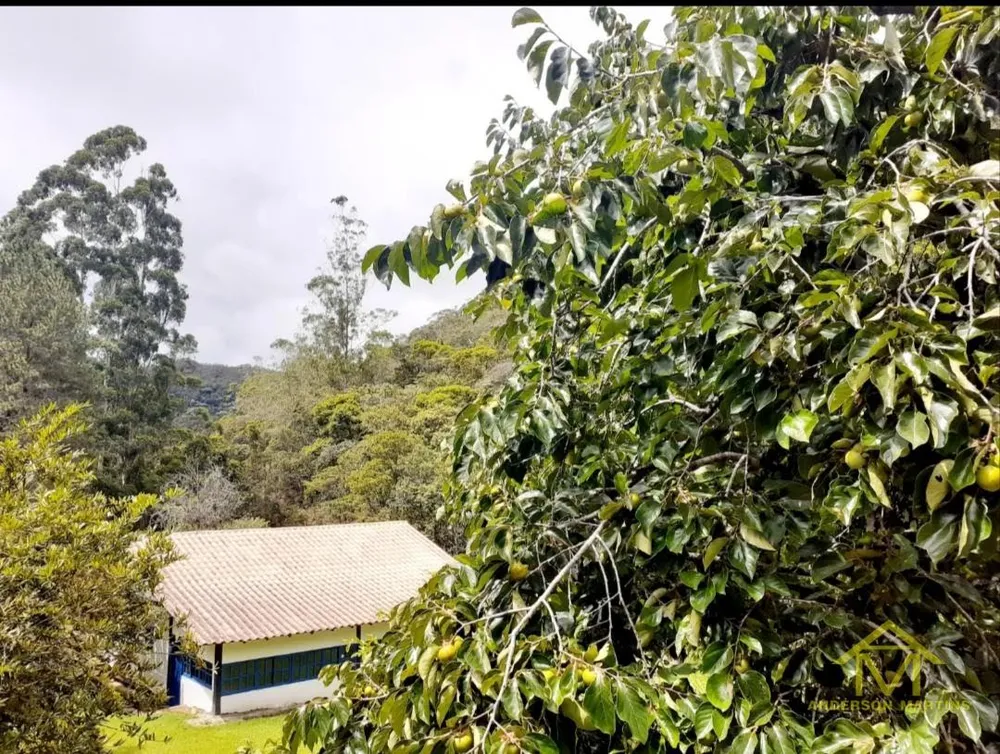 Chácara, 3 quartos, 2 hectares - Foto 3