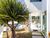 Casa, 4 quartos, 700 m² - Foto 4