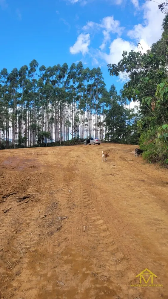 Terreno, 2 hectares - Foto 1